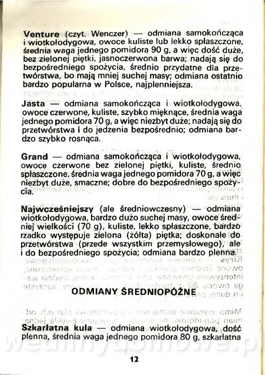 Gasik Anna - Pomidory_010.jpg