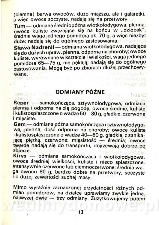 Gasik Anna - Pomidory_011.jpg