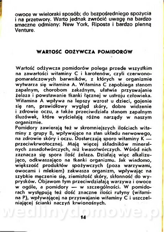 Gasik Anna - Pomidory_012.jpg