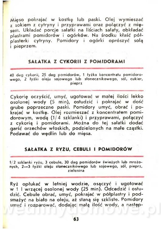Gasik Anna - Pomidory_061.jpg