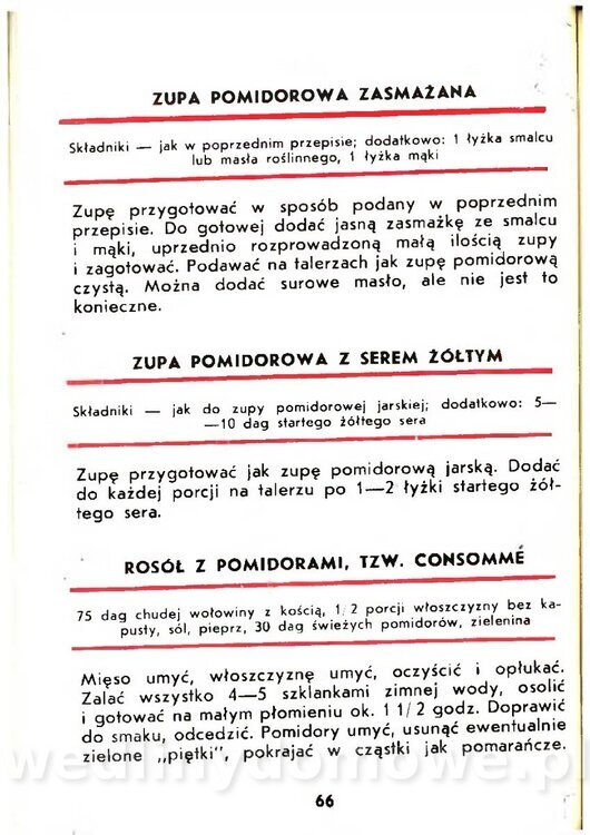 Gasik Anna - Pomidory_064.jpg