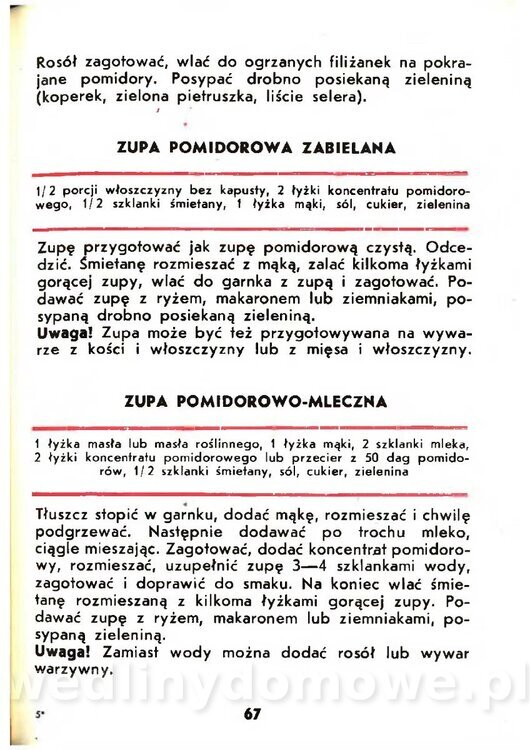 Gasik Anna - Pomidory_065.jpg