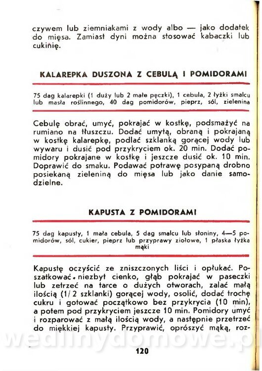 Gasik Anna - Pomidory_118.jpg