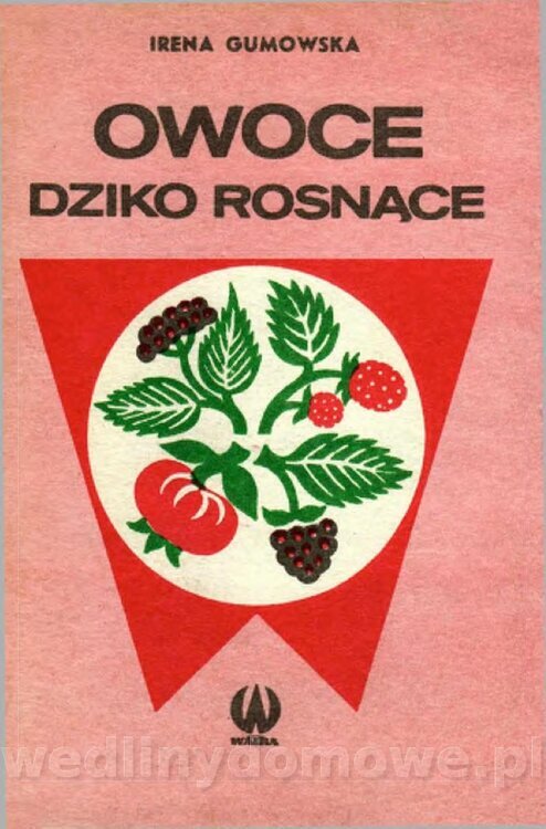 Gumowska I. - Owoce dziko rosnące_001.jpg