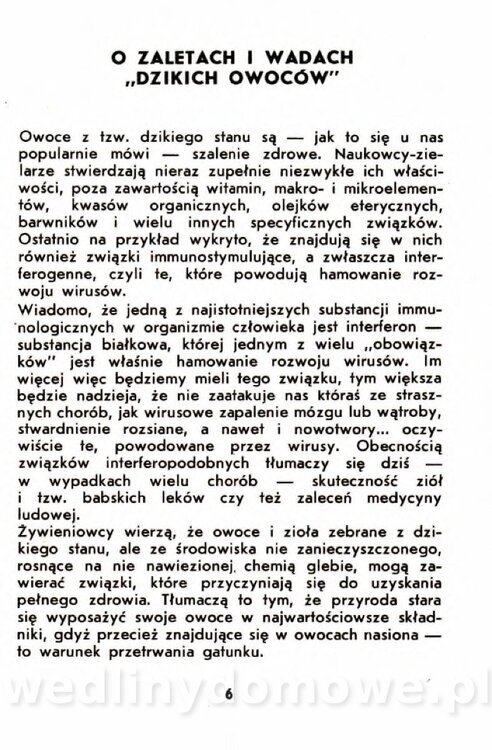 Gumowska I. - Owoce dziko rosnące_003.jpg