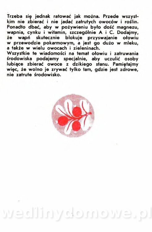 Gumowska I. - Owoce dziko rosnące_005.jpg