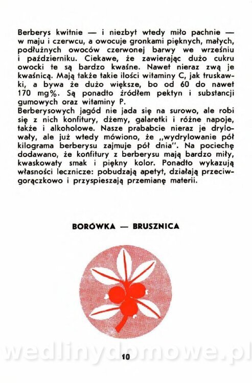 Gumowska I. - Owoce dziko rosnące_007.jpg