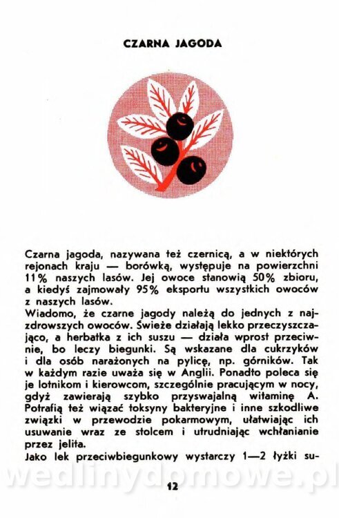 Gumowska I. - Owoce dziko rosnące_009.jpg