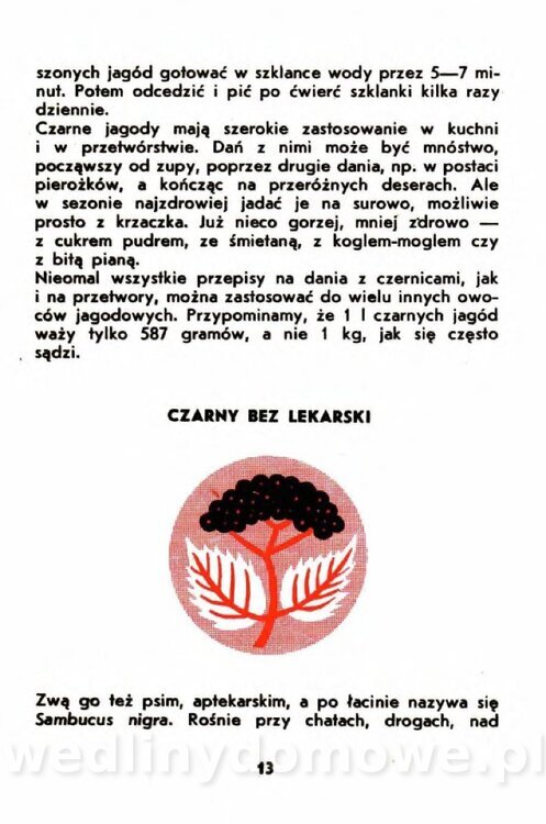 Gumowska I. - Owoce dziko rosnące_010.jpg