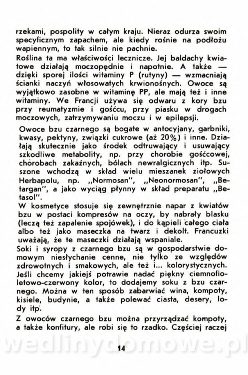 Gumowska I. - Owoce dziko rosnące_011.jpg