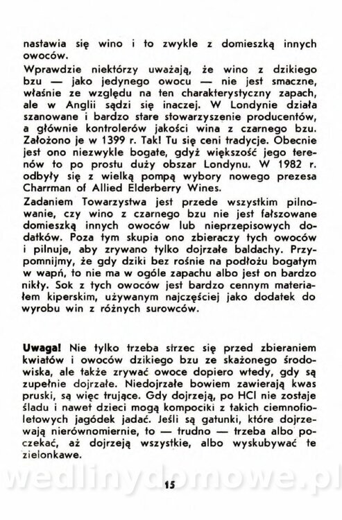 Gumowska I. - Owoce dziko rosnące_012.jpg