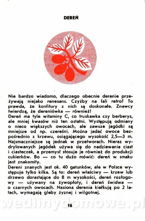 Gumowska I. - Owoce dziko rosnące_013.jpg