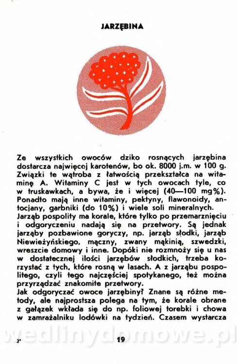 Gumowska I. - Owoce dziko rosnące_016.jpg