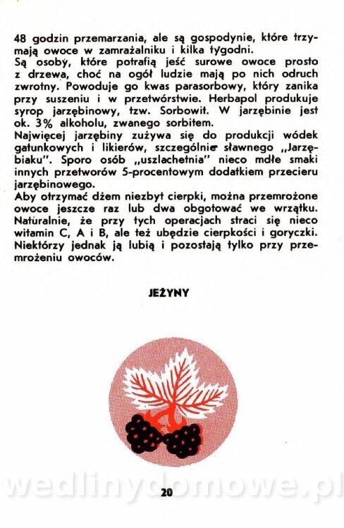 Gumowska I. - Owoce dziko rosnące_017.jpg