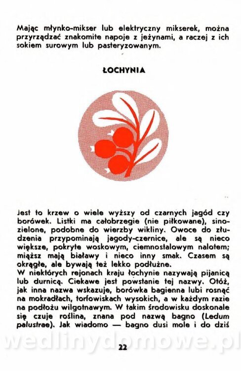 Gumowska I. - Owoce dziko rosnące_019.jpg