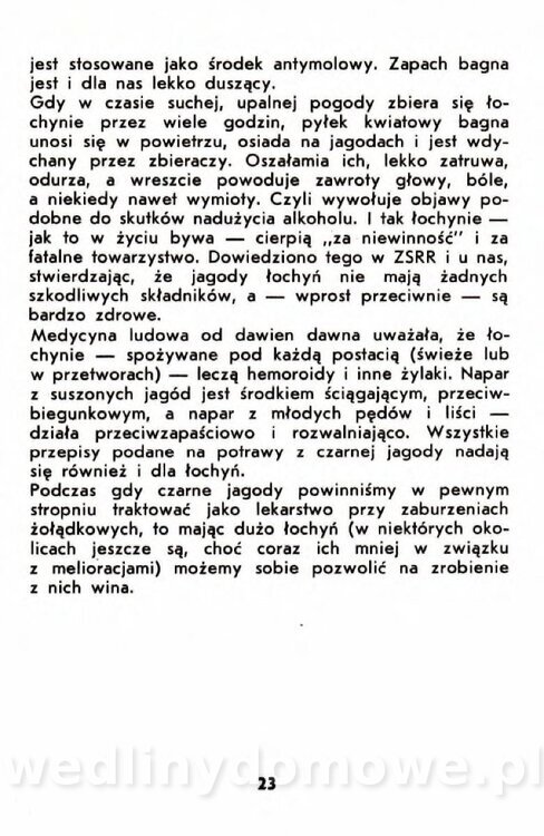 Gumowska I. - Owoce dziko rosnące_020.jpg