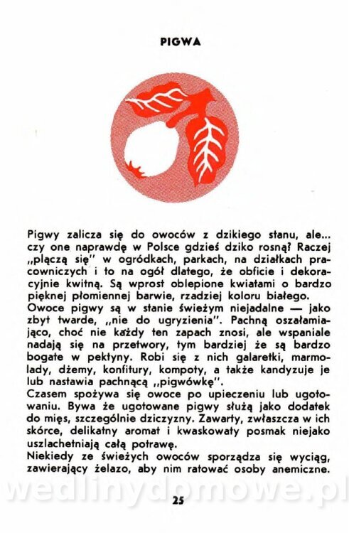 Gumowska I. - Owoce dziko rosnące_022.jpg