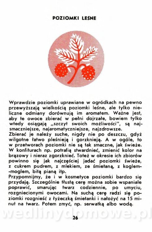 Gumowska I. - Owoce dziko rosnące_023.jpg