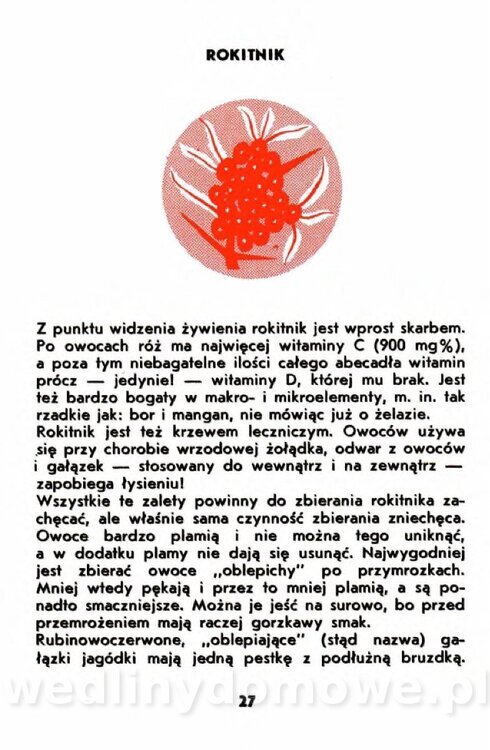 Gumowska I. - Owoce dziko rosnące_024.jpg