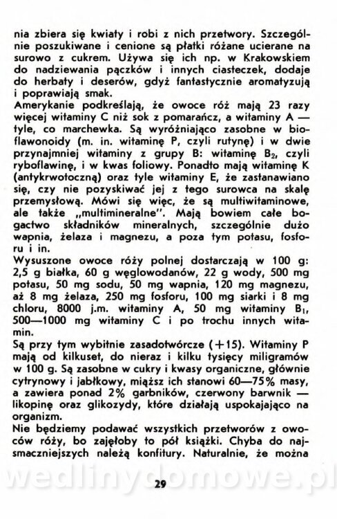 Gumowska I. - Owoce dziko rosnące_026.jpg