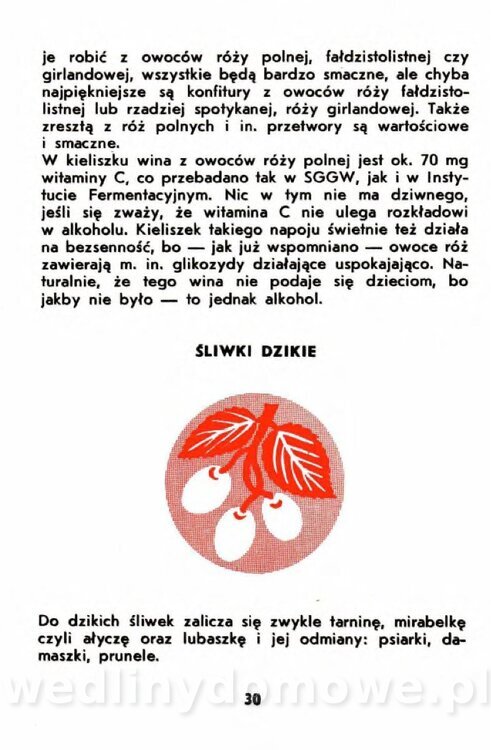 Gumowska I. - Owoce dziko rosnące_027.jpg