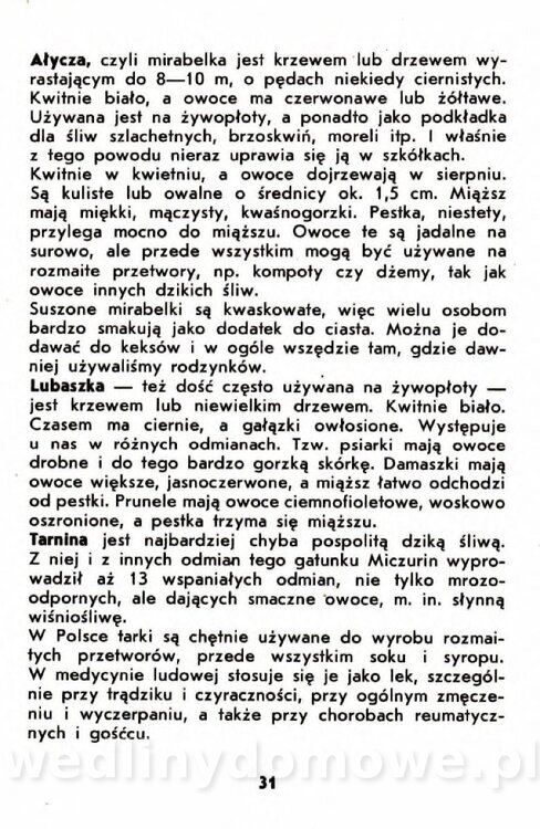 Gumowska I. - Owoce dziko rosnące_028.jpg
