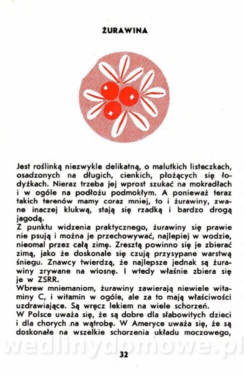 Gumowska I. - Owoce dziko rosnące_029.jpg