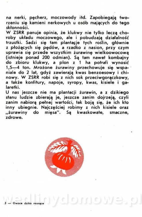 Gumowska I. - Owoce dziko rosnące_030.jpg
