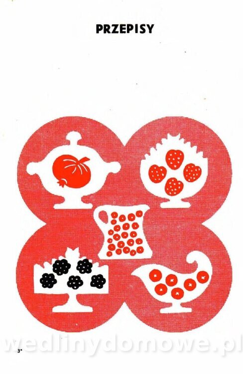 Gumowska I. - Owoce dziko rosnące_032.jpg