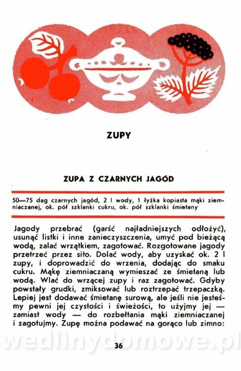 Gumowska I. - Owoce dziko rosnące_033.jpg