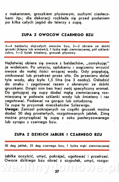Gumowska I. - Owoce dziko rosnące_034.jpg
