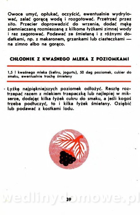 Gumowska I. - Owoce dziko rosnące_036.jpg