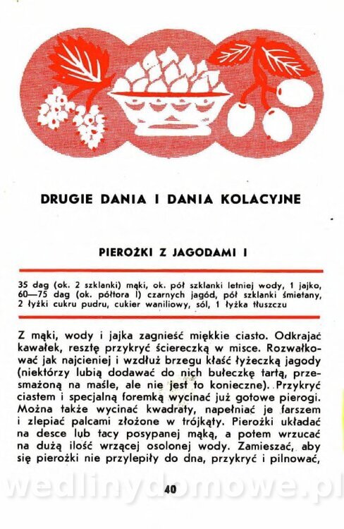 Gumowska I. - Owoce dziko rosnące_037.jpg