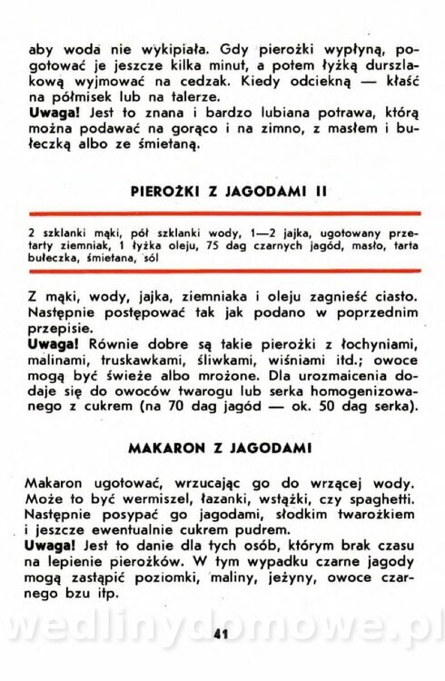 Gumowska I. - Owoce dziko rosnące_038.jpg