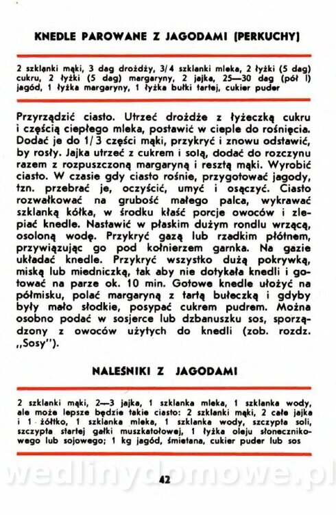 Gumowska I. - Owoce dziko rosnące_039.jpg