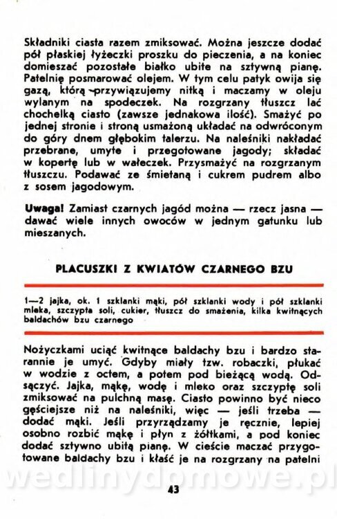 Gumowska I. - Owoce dziko rosnące_040.jpg