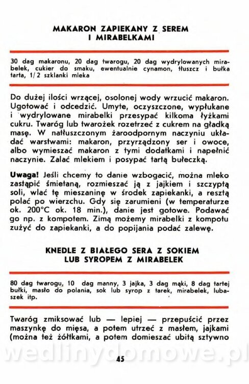 Gumowska I. - Owoce dziko rosnące_042.jpg