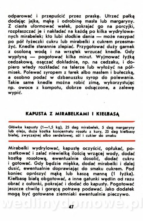 Gumowska I. - Owoce dziko rosnące_044.jpg