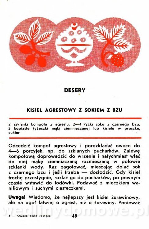 Gumowska I. - Owoce dziko rosnące_046.jpg