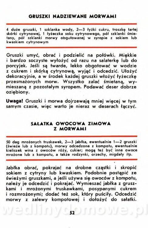 Gumowska I. - Owoce dziko rosnące_049.jpg