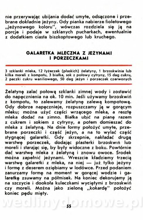 Gumowska I. - Owoce dziko rosnące_052.jpg
