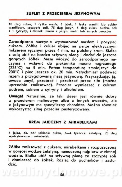 Gumowska I. - Owoce dziko rosnące_053.jpg