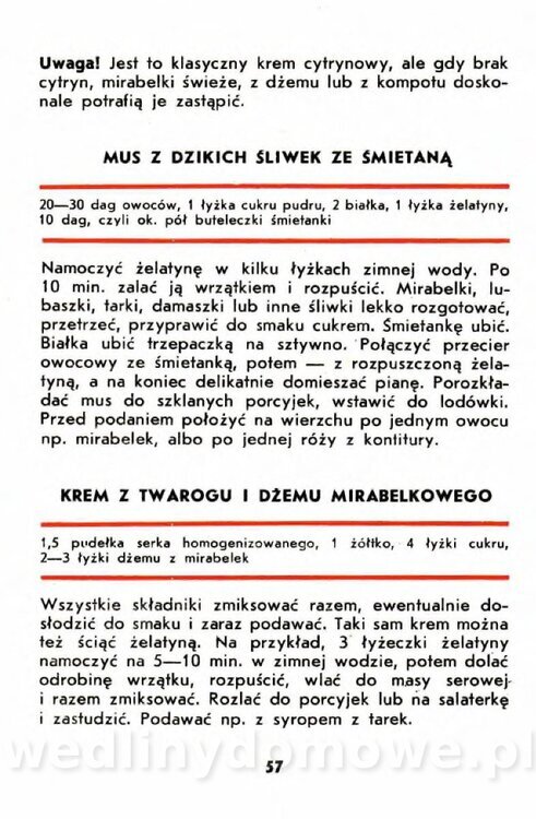 Gumowska I. - Owoce dziko rosnące_054.jpg