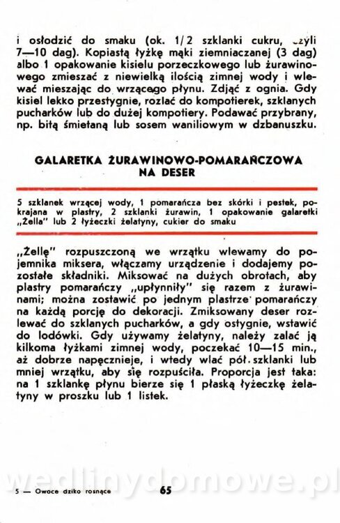 Gumowska I. - Owoce dziko rosnące_062.jpg