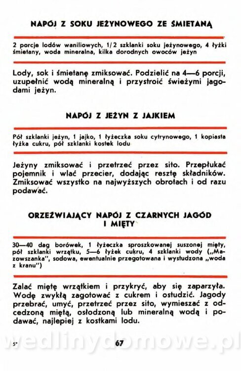 Gumowska I. - Owoce dziko rosnące_064.jpg