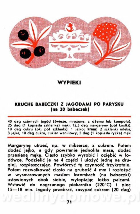 Gumowska I. - Owoce dziko rosnące_068.jpg