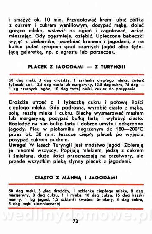 Gumowska I. - Owoce dziko rosnące_069.jpg