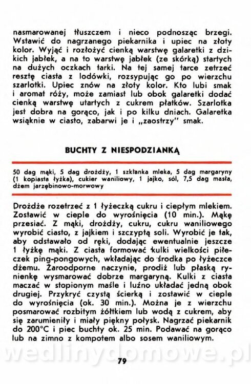 Gumowska I. - Owoce dziko rosnące_076.jpg