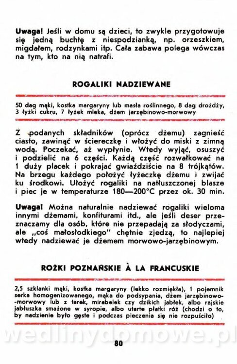 Gumowska I. - Owoce dziko rosnące_077.jpg