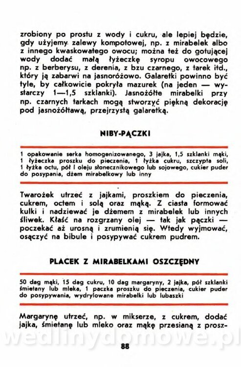 Gumowska I. - Owoce dziko rosnące_085.jpg